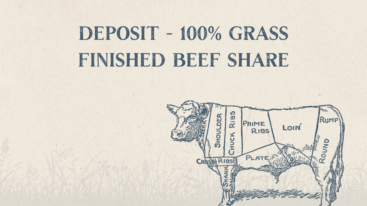 Deposit - 100% Grass Finished Beef Share