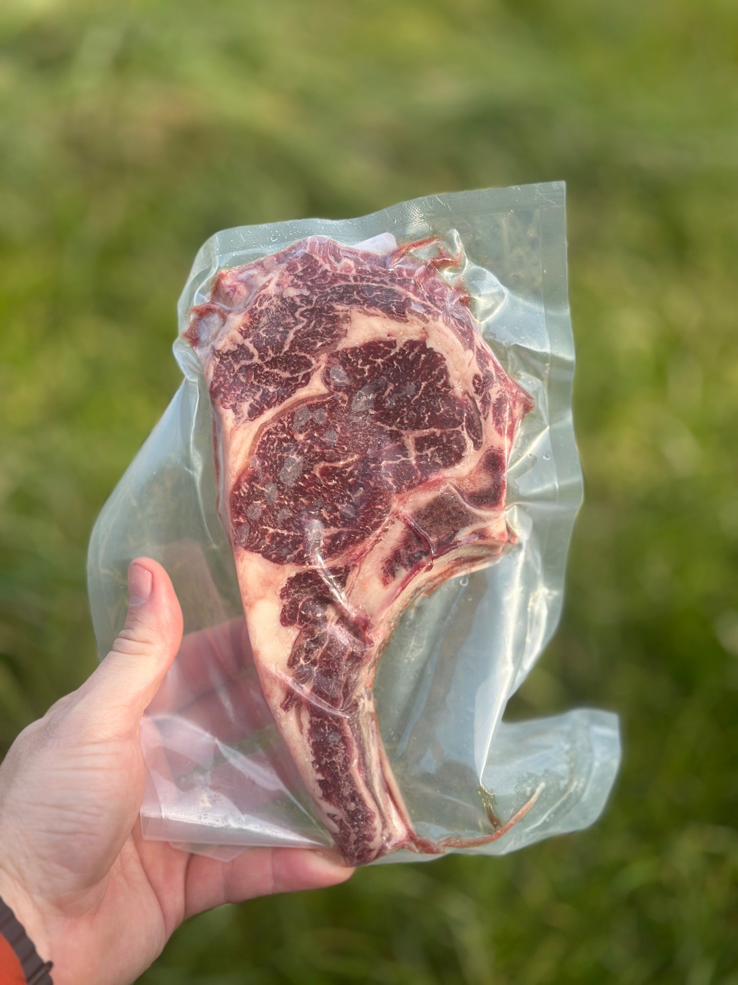 Bone-In Ribeye