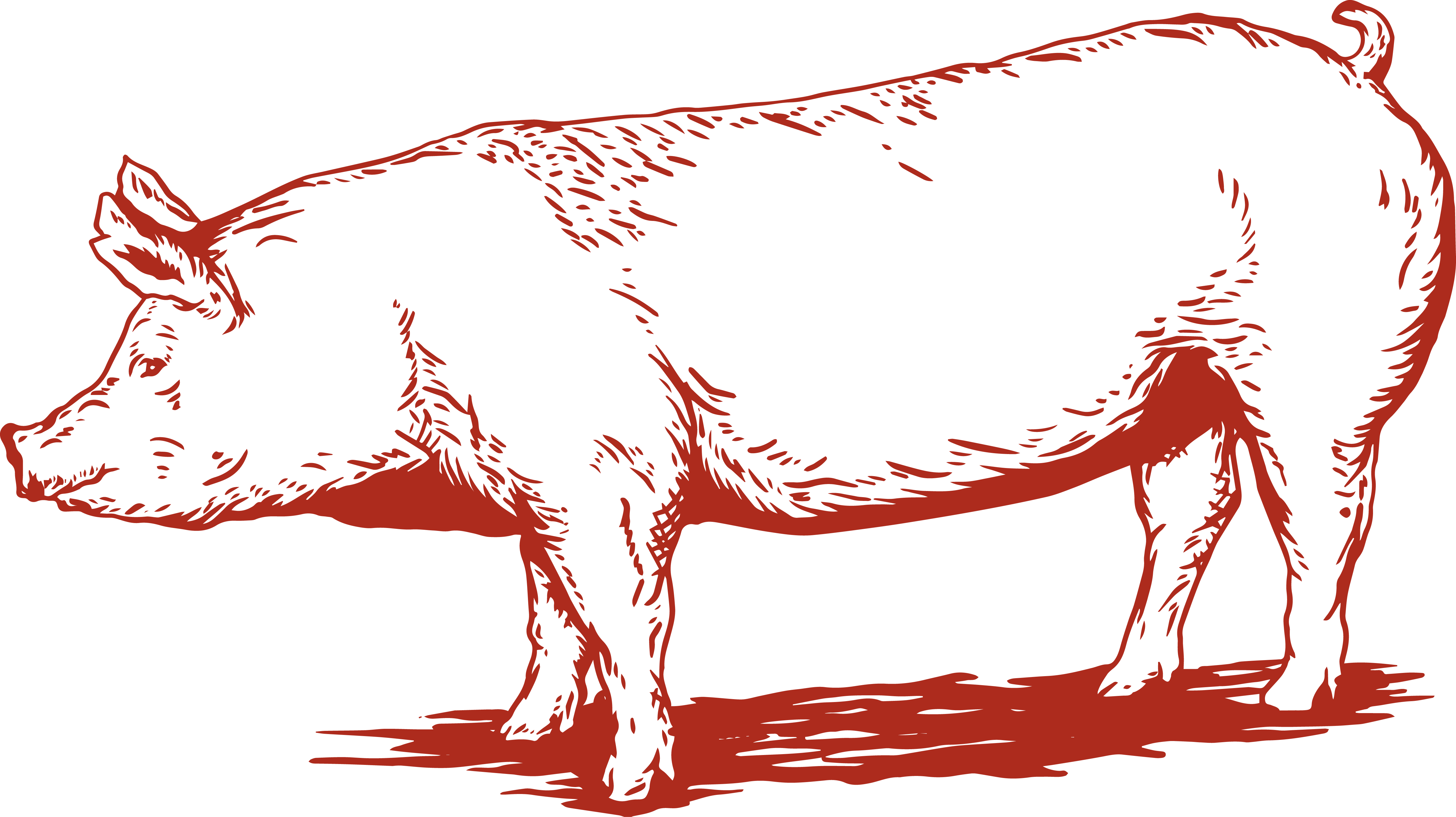 Pasture Raised Whole Pig Deposit (Corn and Soy Free)