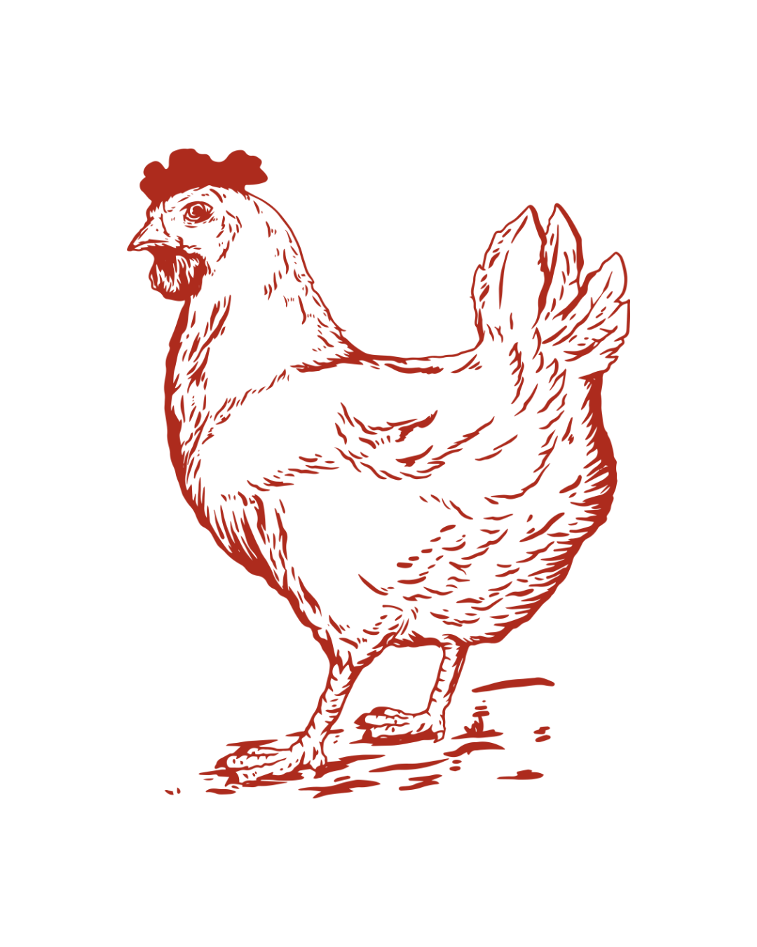 Pasture Raised Chicken For the Year