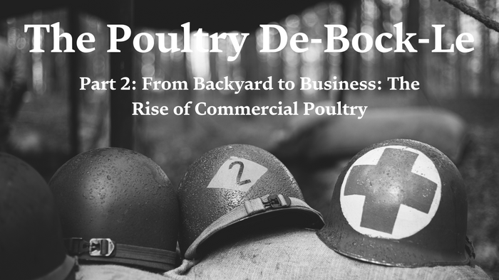 Poultry De-Bock-Le: Part 2: From Backyard to Business - The Rise of Commercial Poultry