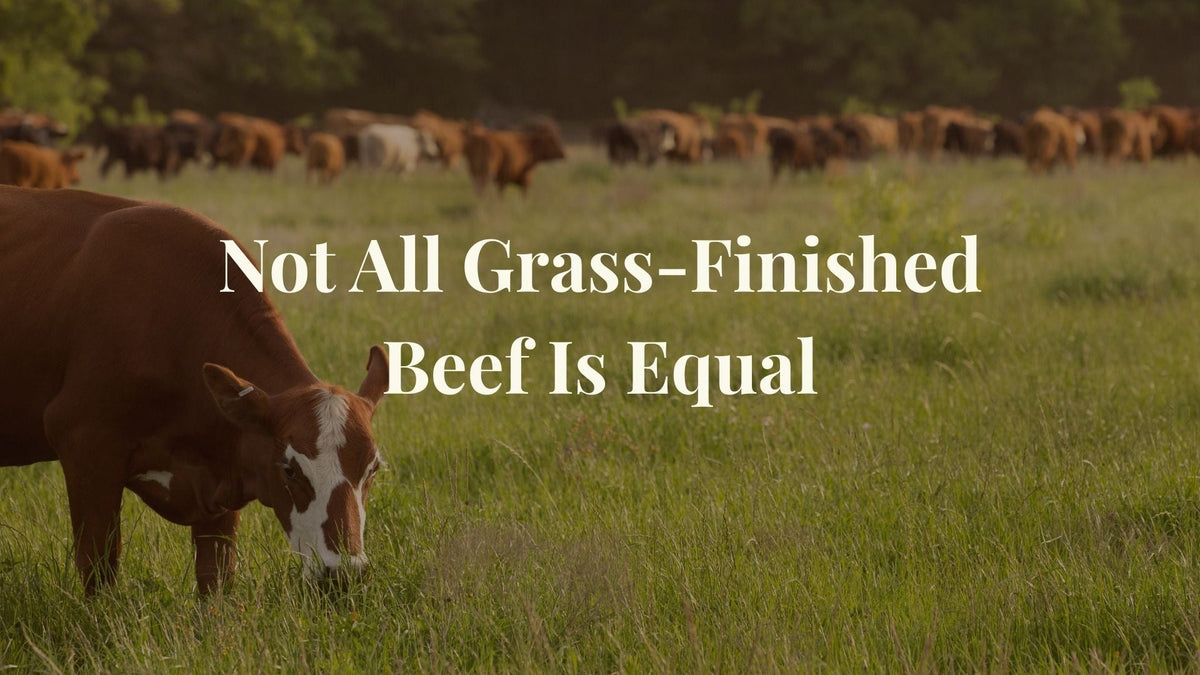 Cattle grazing in pasture with the overlay text Not All Grass-Finished Beef is Equal
