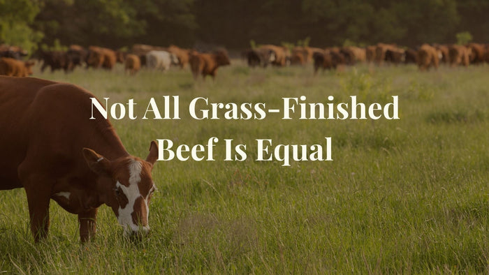 Cattle grazing in pasture with the overlay text Not All Grass-Finished Beef is Equal