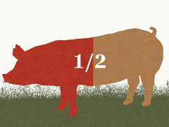 Pasture Raised Half Pig Deposit (Corn and Soy Free)