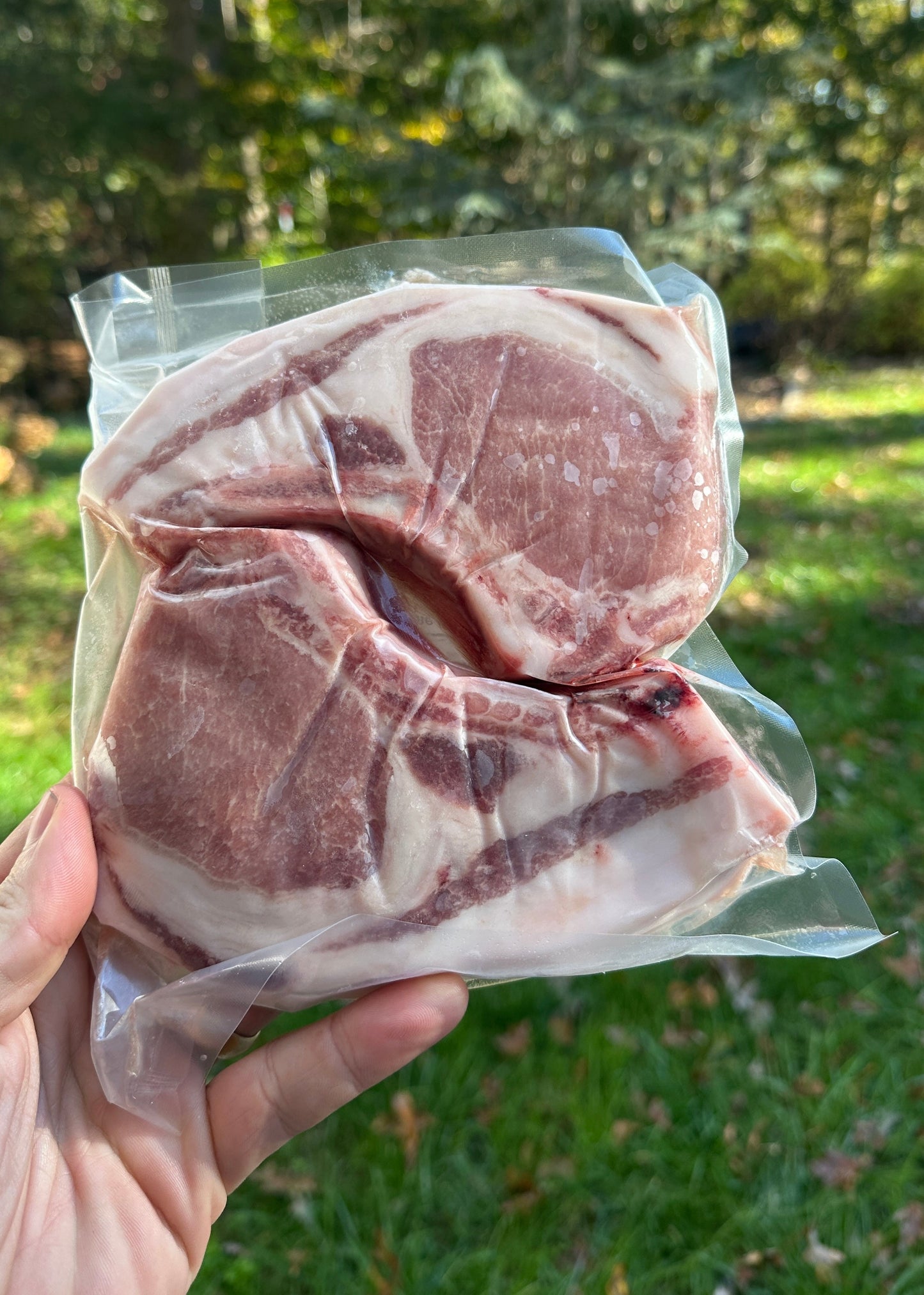 BBQ Pork Box (Corn and Soy Free)