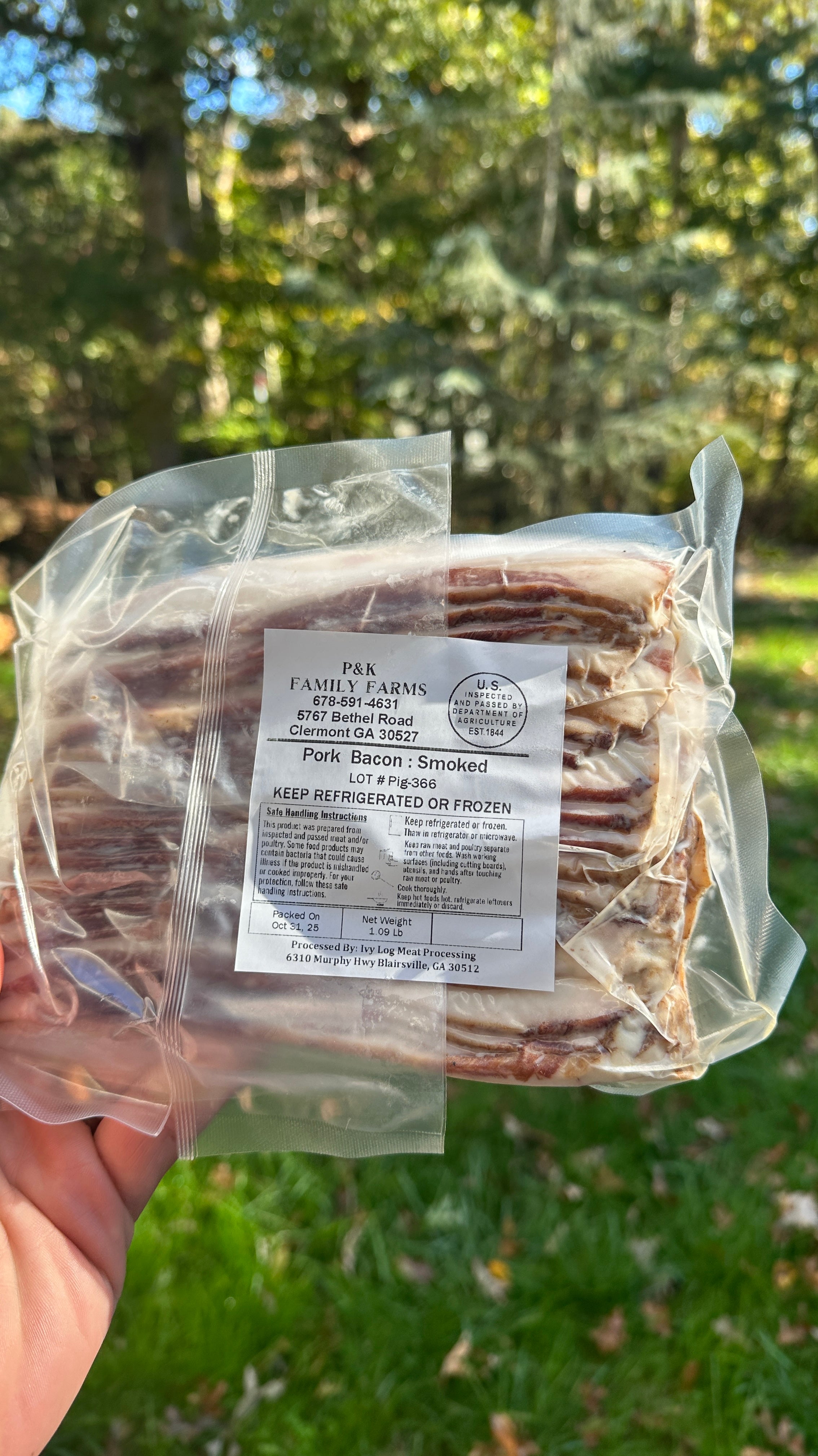 Packaged pork bacon held in front of a natural background with trees.