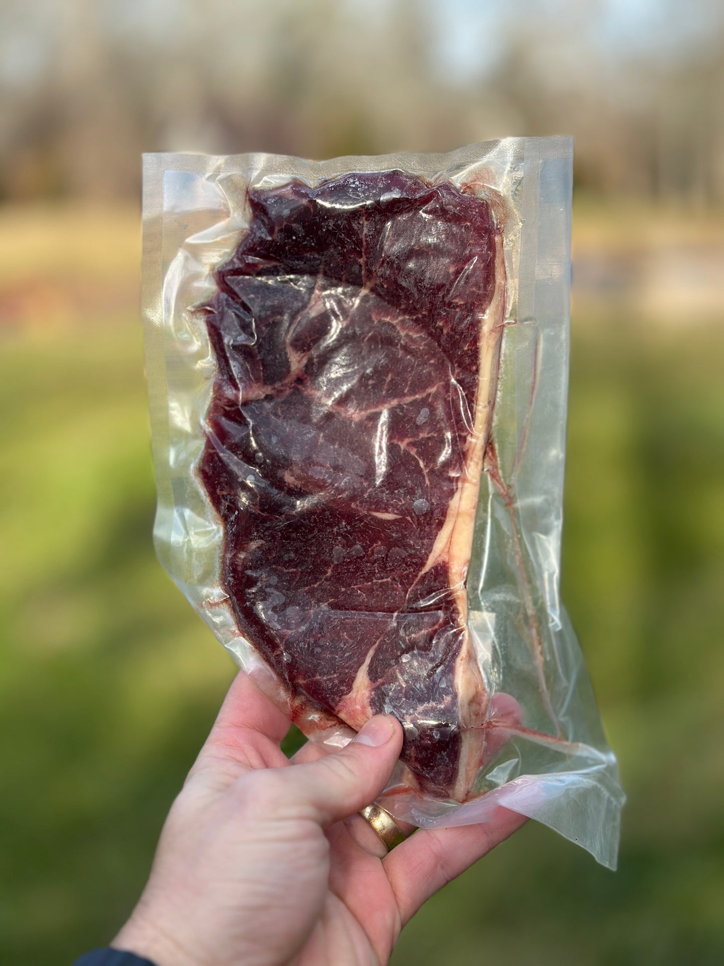 Sirloin Steak